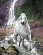 Plakaty - GBeye Waterfall - plakat MP1429 - miniaturka - grafika 1