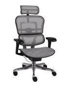 Fotele i krzesła biurowe - Fotel biurowy Ergohuman 2 Basic BS Grey - miniaturka - grafika 1