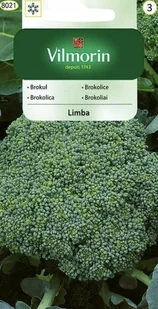 BROKUŁ LIMBA zielony wczesny plenny i odporny WYSOKA JAKOŚĆ NASIONA warzyw p. 9-0051-90071-01 - Nasiona i cebule BROKUŁ LIMBA zielony wczesny plenny i odporny WYSOKA JAKOŚĆ NASIONA warzyw p. 9-0051-90071-01 - Nasiona i cebule - miniaturka - grafika 1