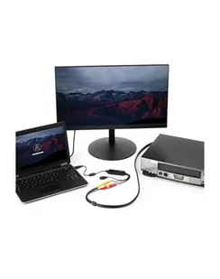 Startech.com SVID2USB232 - Tunery TV do PC - miniaturka - grafika 1