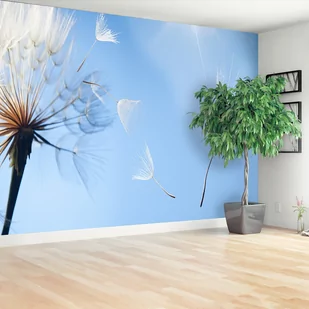 Fototapeta Dmuchawiec Niebieski - Fototapety - miniaturka - grafika 1