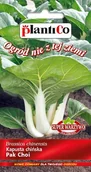 Nasiona i cebule - NASIONA Kapusta Chińska Pak Choi 0,1g PLANTICO Super Warzywo 402492 - miniaturka - grafika 1
