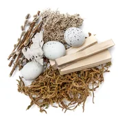 Zabawki kreatywne - Naturalne elementy mix 30 g wielkanocny  neutralny - miniaturka - grafika 1