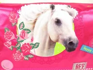 Torby szkolne - BFF 420  6974 torba na ramię, 26 x 33 x 10 cm, Stable Island 420-6974 - miniaturka - grafika 1