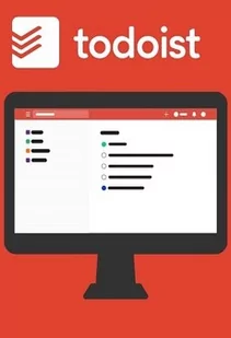 Todoist Pro 6 (1 Device, 6 Months) - todoist.com Key - GLOBAL - Gry PC Cyfrowe - miniaturka - grafika 1