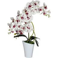 Sztuczne kwiaty - Storczyk 3 pędy Wenus 67 x 52 cm 9055 - miniaturka - grafika 1
