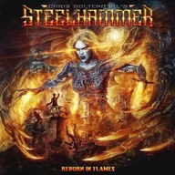 Metal, Punk - Reborn In Flames - miniaturka - grafika 1