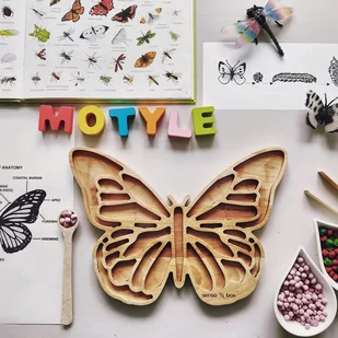 Wysypywanka Drewniana Motyl - Zabawki interaktywne dla dzieci - miniaturka - grafika 1
