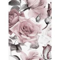 Plakaty - Plakat 50 x 70 cm Róże - miniaturka - grafika 1
