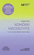 Nauka - Komórki macierzyste - miniaturka - grafika 1