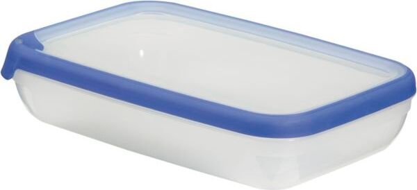 Pojemnik Na Żywność Plastikowy Lunchbox 2,6L Do Przechowywania Śniadaniówka