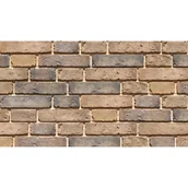 Płytki klinkierowe - Cegła betonowa Chicago 2 brąz 0,54m2/krt - miniaturka - grafika 1