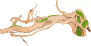 Zolux Dekoracja akwarystyczna korzeń Kipouss S - Dekoracje do akwarium - miniaturka - grafika 1