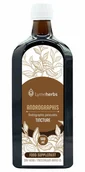 Suplementy naturalne - Lymeherbs, Andrographis (Měkýn latnatý) nalewka 1:5, 500ml - miniaturka - grafika 1