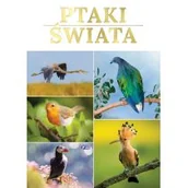Poradniki hobbystyczne - Ptaki świata - miniaturka - grafika 1