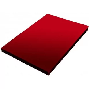 Okładka foliowa do bindowania A4 NATUNA czerwona przezroczysta 0,20mm (100szt) - Okładki do laminatorów i bindownic - miniaturka - grafika 1
