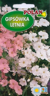 Gipsówka letnia mieszana 2 g POLAN - Nasiona i cebule - miniaturka - grafika 1