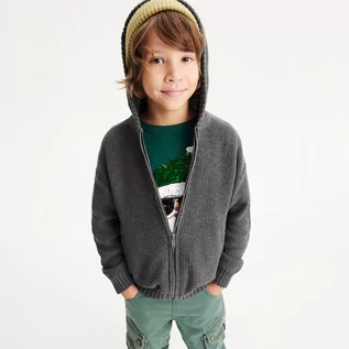 Swetry dla chłopców - Reserved - Sweter z kapturem - Szary - grafika 1
