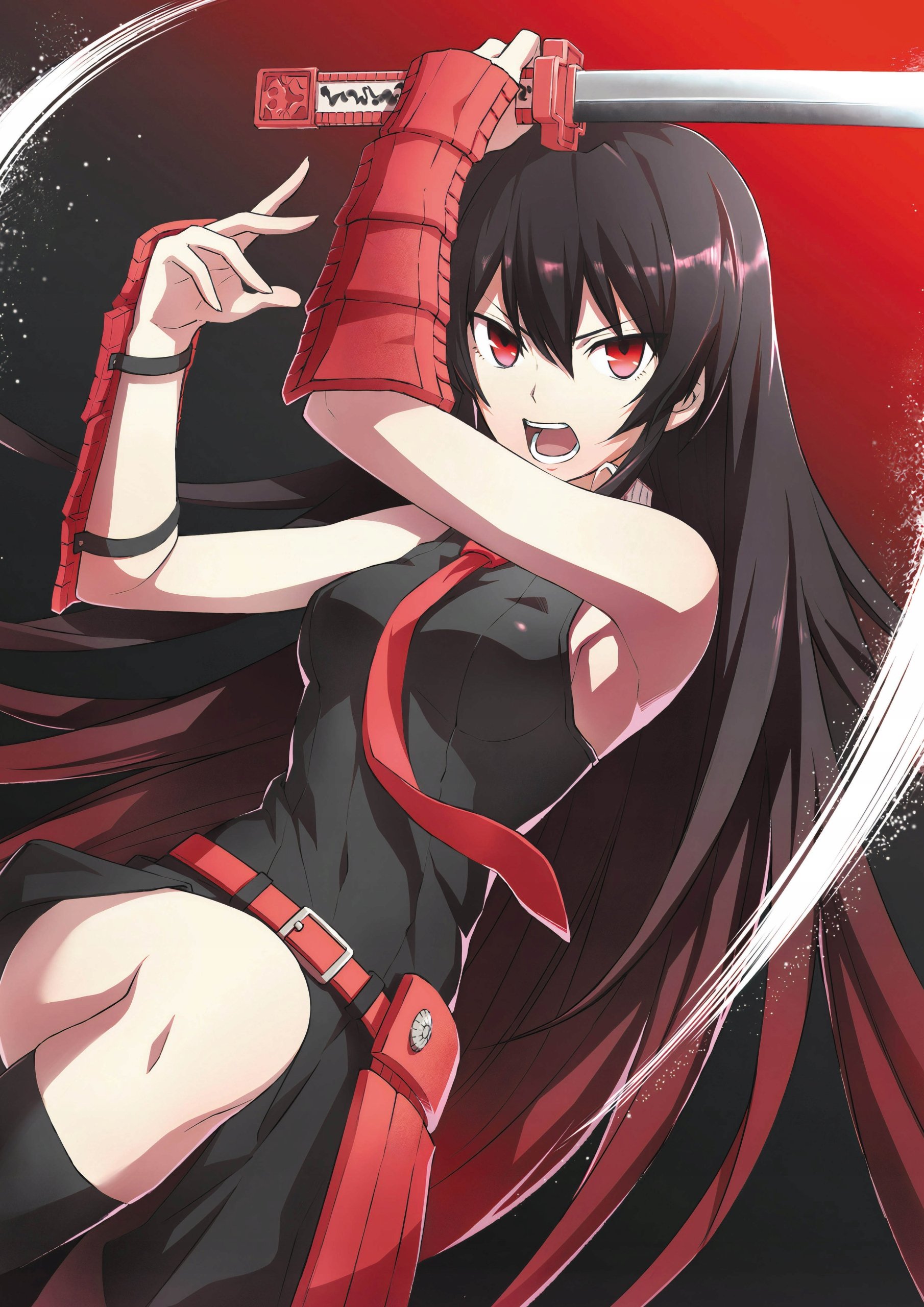 Plakat A1 Akame ga Kill Anime Manga
