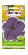 Nasiona i cebule - Petunia ogrodowa Iluzja niebieska 0,05 g Plantico - miniaturka - grafika 1