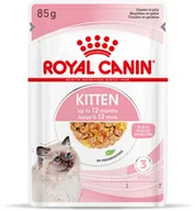 Mokra karma dla kotów - Royal Canin Kitten w galaretce - 96 x 85 g - miniaturka - grafika 1