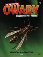Czasopisma - Prawdziwe Owady Pajęczaki i Inne Robaki Reedycja - miniaturka - grafika 1