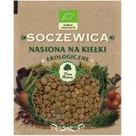 Nasiona na kiełki - Dary Natury Nasiona na kiełki Soczewica BIO - 50g 05936 - miniaturka - grafika 1