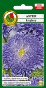 Nasiona i cebule - Aster książęcy niebieski 0,8 g PNOS - miniaturka - grafika 1