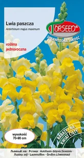 Nasiona Lwia paszcza żółta 1g - Torseed - Nasiona i cebule - miniaturka - grafika 1