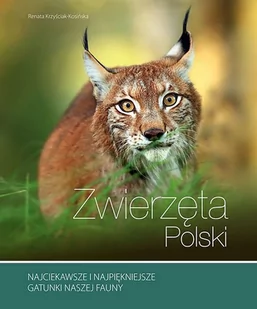 Zwierzęta Polski Renata Kosińska - Słowniki języków obcych - miniaturka - grafika 1