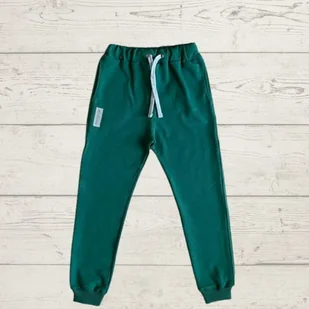 Spodnie dresowe zielone - dresy odCZAPY - Spodnie i spodenki dla chłopców - miniaturka - grafika 1