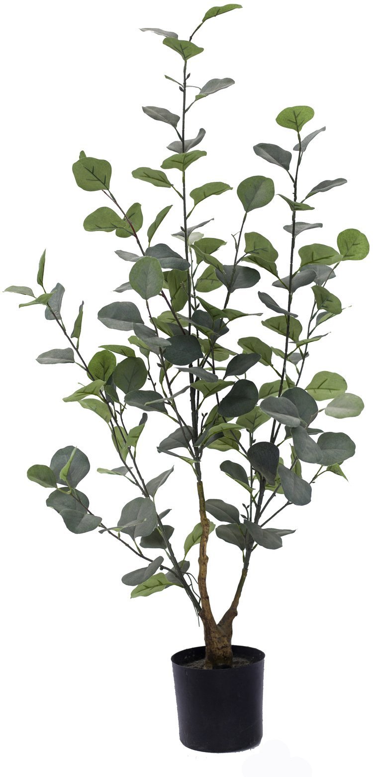 Direct Home and Garden Drzewko eukaliptus sztuczne 95 cm