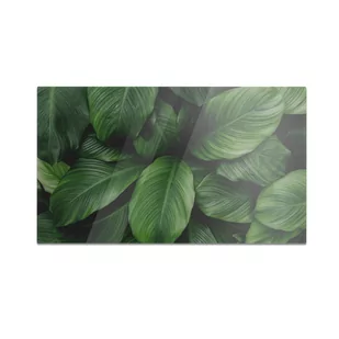 Szklana deska kuchenna HOMEPRINT Zielone liście tropikalne 60x52 cm - Deski do krojenia Szklana deska kuchenna HOMEPRINT Zielone liście tropikalne 60x52 cm - Deski do krojenia - miniaturka - grafika 1