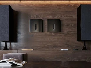 Devialet Expert 1000 Pro Dual - Wzmacniacze - miniaturka - grafika 8
