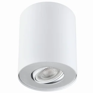 Auhilon Pilaros White-Silver Plafon LS-DW001-BIAŁO-SREBRNA - Lampy sufitowe - miniaturka - grafika 1