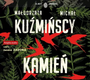 Kamień Kuźmińska Małgorzata Kuźmiński Michał - Audiobooki - literatura popularnonaukowa - miniaturka - grafika 1