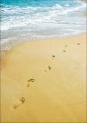 Plakaty - Galeria Plakatu, Plakat, Walking. Ślady stóp na plaży, 60x80 cm - miniaturka - grafika 1