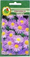 Nasiona i cebule - Erigeron 0,5 g PNOS - miniaturka - grafika 1