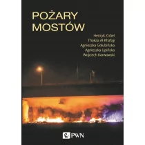 Pożary Mostów Henryk Zobel,thakaa Al-Khafaji,agnieszka Golubińska - Nauka - miniaturka - grafika 1