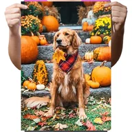 Zabawki kreatywne - Haft Diamentowy Diamond Painting,DIAMENTOWY MALARZ,Obraz DIY 5D,Mozaika Diamentowa 30x40, Pies - miniaturka - grafika 1