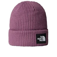 Czapki i chusty sportowe męskie - Czapka The North Face Beanie Salty Lined 0A3FJW1NI1 - fioletowa - miniaturka - grafika 1