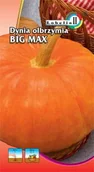 Nasiona i cebule - Dynia Big Max 2g / L / - miniaturka - grafika 1