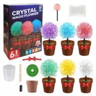 Mały naukowiec - Eksperyment Dla Dzieci Hodowla Kryształów Magiczne Drzewka Zestaw 6 Sztuk - miniaturka - grafika 1