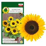 Nasiona i cebule - SŁONECZNIK KARŁOWY OZDOBNY BIG SMILE DO DONICZKI NISKI NASIONA 1g - miniaturka - grafika 1