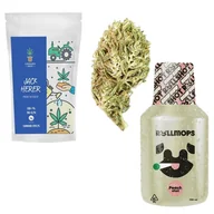 Zioła - Rollshot + Susz CBD Jack Herer 1g - miniaturka - grafika 1