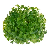 Sztuczne kwiaty - Kula bukszpanu dekoracyjna średnica 12 cm zielony - miniaturka - grafika 1