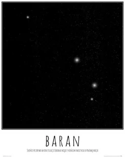 Nice Wall Baran konstelacja gwiazd z opisem - plakat - Plakaty - miniaturka - grafika 1