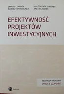 Biznes - Efektywność projektów inwestycyjnych - miniaturka - grafika 1
