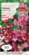 Nasiona i cebule - Nasiona Penstemon mieszanka - Torseed - miniaturka - grafika 1