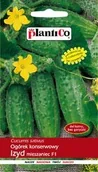 Nasiona i cebule - Ogórek gruntowy Izyd F1 5 g Plantico - miniaturka - grafika 1